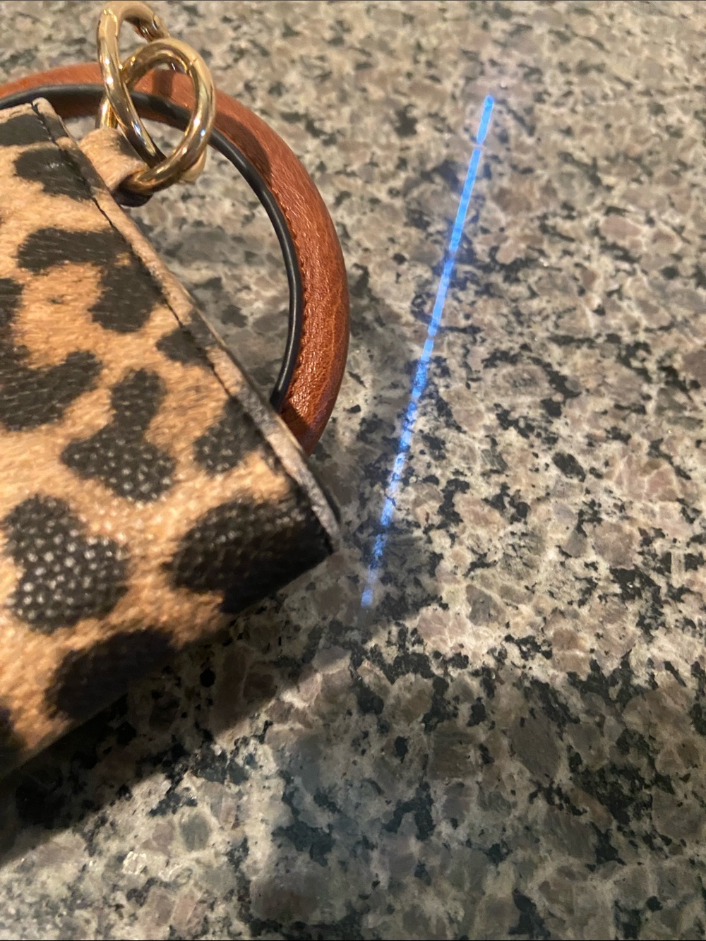 Clutch/Wristlet in Animal Print - Picture 7 of 15
